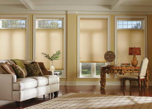 Window Treatments for French Doors Ideas