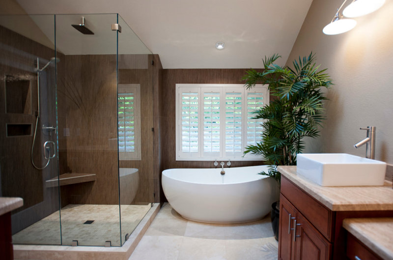 modern-master-bath-with-an-indoor-palm
