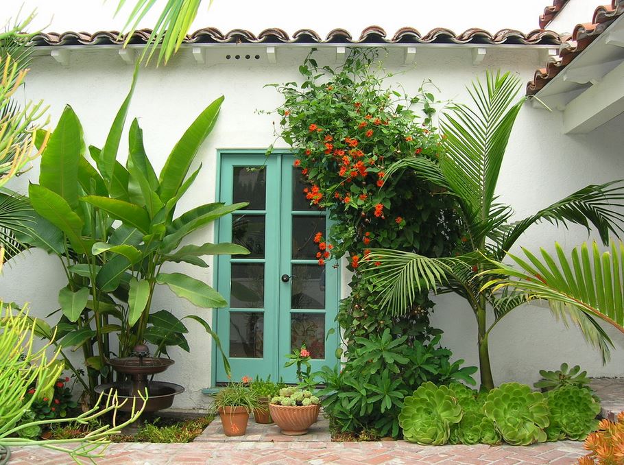 tropical-landscaping-in-a-los-angeles-yard