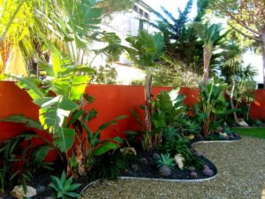 20 Gardens Tropical Plants Design Ideas