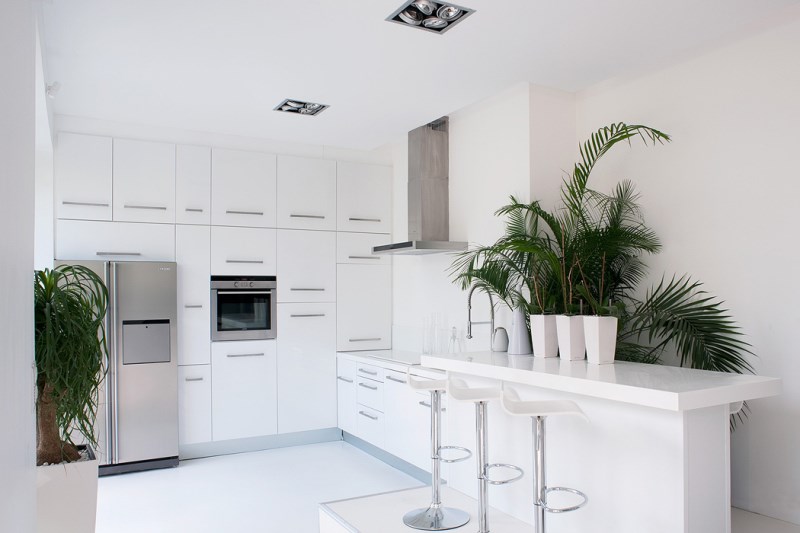 white-kitchen-with-eye-catching-indoor-plants